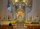 Basilica Immaculate Conception.jpg