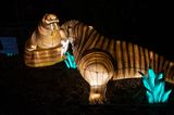 Lantern Fest 2022-32.jpg