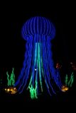Lantern Fest 2022-47.jpg