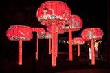 Lantern Fest 2022-9.jpg