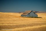 Isolated Barn