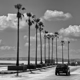 A Curve on the Malecon