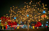Out of Focus