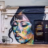 A Many-Colored Face