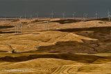 Wind Turbines and Wheat Fields Stylized