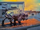 Buffalo in the Rain