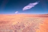 Windmills in the Distance