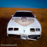 1979-81 Pontiac Firebird Trans Am
