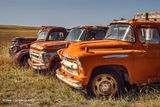 1956 Chevy Truck and 3 Friends