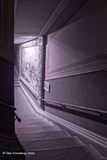 Elegant Stairway