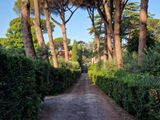 Via Appia Antica