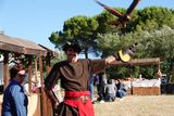 Conimbraga