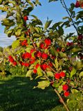 Autumn feelings in summer