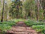 Sigulda - Ligatne trail