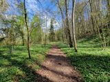 Sigulda - Ligatne trail