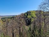 Sigulda - Ligatne trail