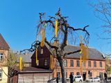 Kandava