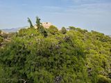 Athens monuments and parks