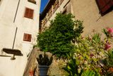 Buzet