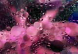 Z99A9793a.jpg