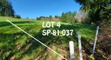 LOT 4  SP-81-037
