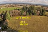 Fineview lots 3 and 4.jpg