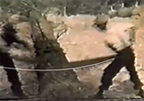 Sawcircle.gif