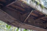 Underside