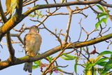 DSC_5987.jpg