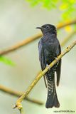 DSC_5232.jpg