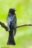 DSC_5109.jpg