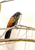 DSC_5987.JPG