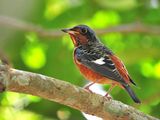 DSC_9313.jpg