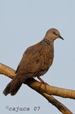 DSC_3686.jpg