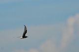 DSC_1751.jpg
