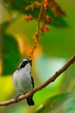 DSC_2197.jpg