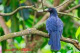 DSC_6634.jpg