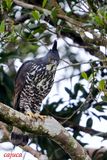 DSC_6074.jpg