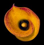 2022-11-13-12.38.55 ZS PMax_openWith.jpg
