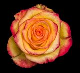 2022-11-15-12.39.46 ZS PMax_openWith.jpg