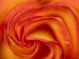 2022-11-16-12.59.47 ZS PMax_40_openWith.jpg
