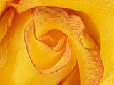 2022-11-16-04.28.43 ZS PMax_openWith.jpg