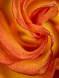 2022-11-16-10.20.48 ZS PMax_40_openWith.jpg