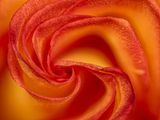 2022-11-16-12.30.12 ZS PMax_40_openWith.jpg