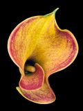 2022-11-21-07.40.38 ZS PMax_openWith.jpg