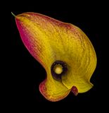 2022-11-22-01.54.40 ZS PMax_openWith.jpg