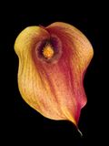 2022-11-23-10.08.12 ZS PMax_openWith.jpg