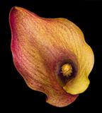 2022-11-25-10.25.00 ZS PMax_openWith_1.jpg