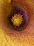 2022-11-24-01.20.25 ZS PMax_openWith.jpg