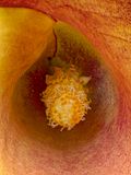 2022-11-26-02.00.47 ZS PMax_openWith.jpg
